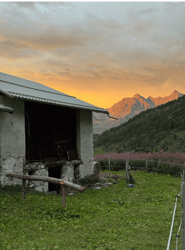 Wanderreitstation Val Faller