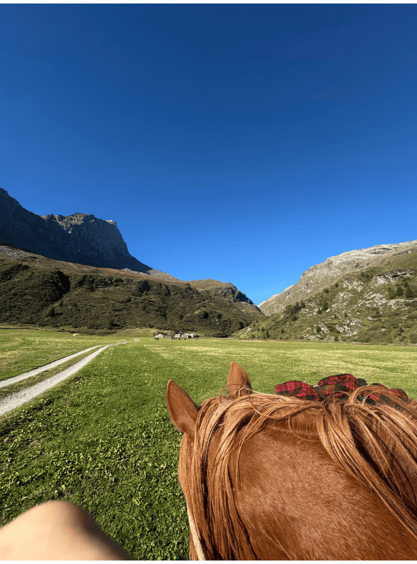 Pferd im Frühling in Val Faller