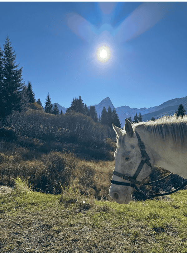 Reiter im wilden Val Faller