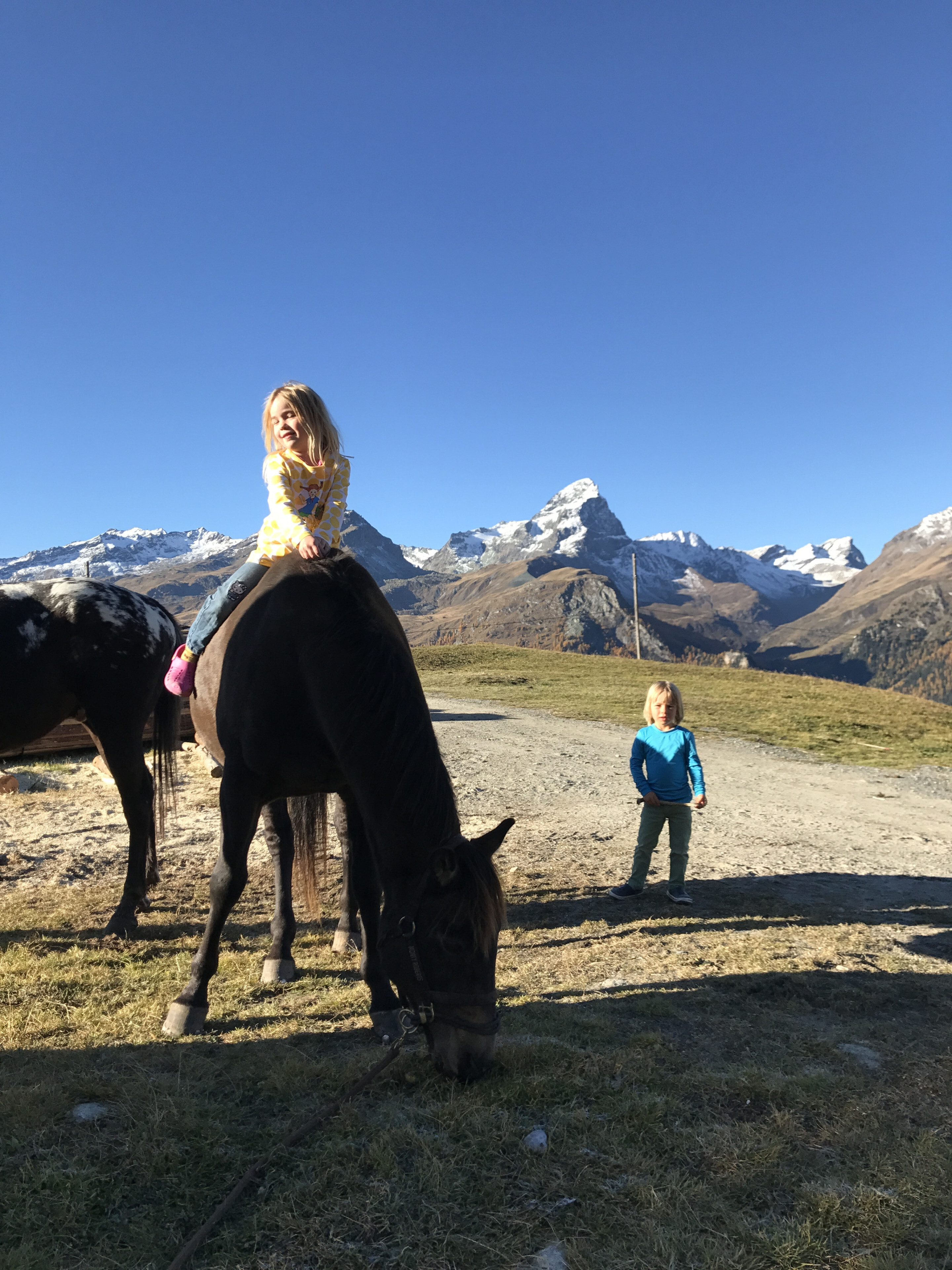 Zwei Mädchen in der Landschaft am führen eines Pferdes.