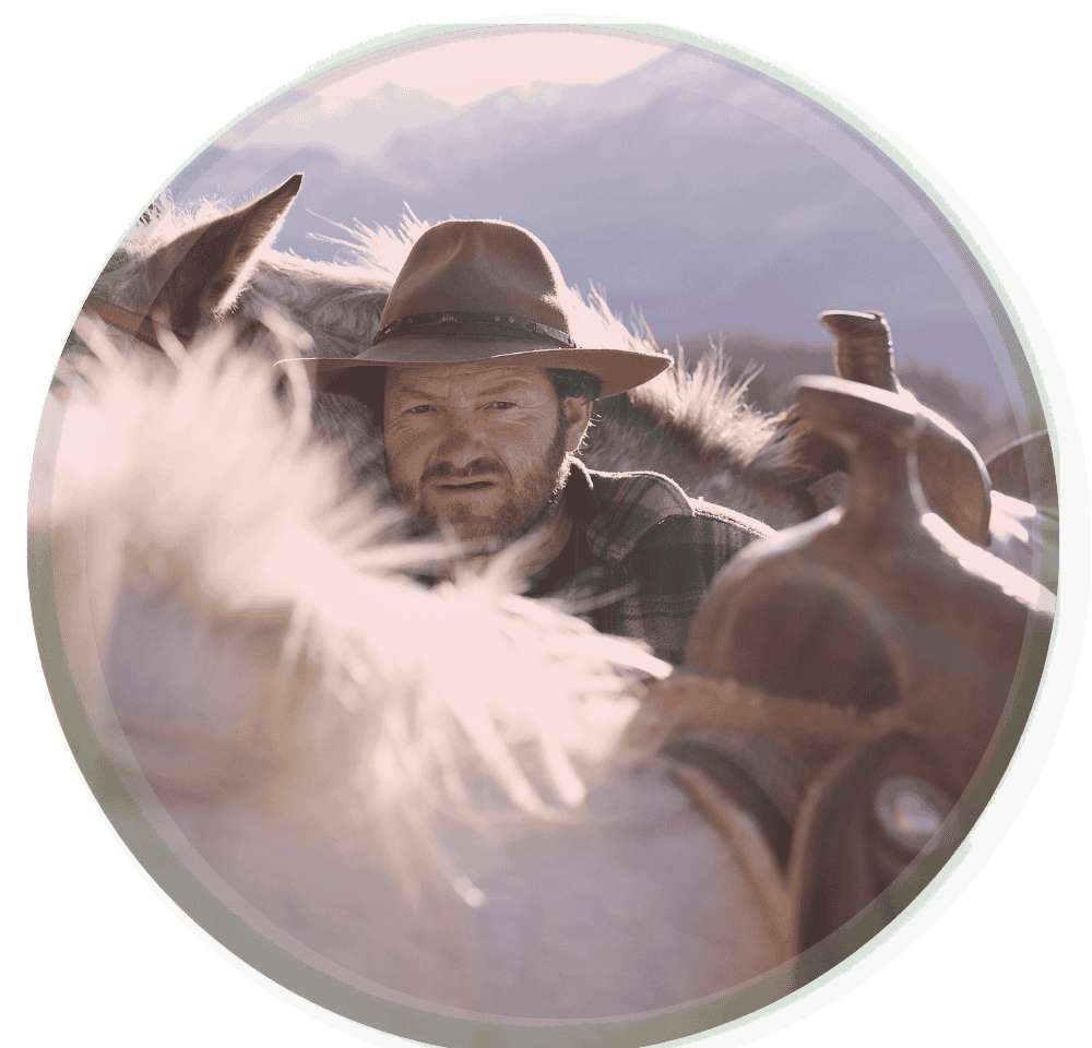 Fonsi inmitten seiner Pferde