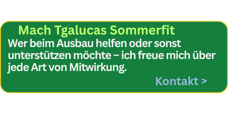 Du liebst die Berge, verstehst Pferde und bist ein Organisationstalent mit Kochlöffel und Besen und suchst was für den Sommer?